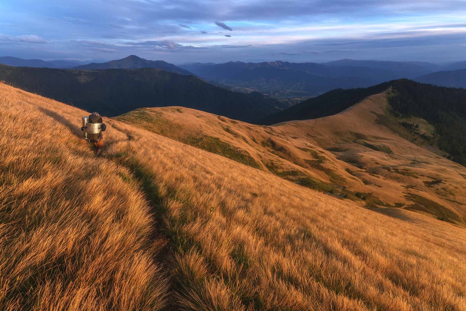 Wildlife Watching in the Poconos: A Family Adventure for All Ages
